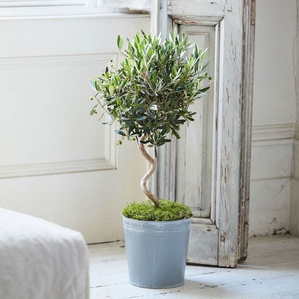 Valentines Gifts Unique