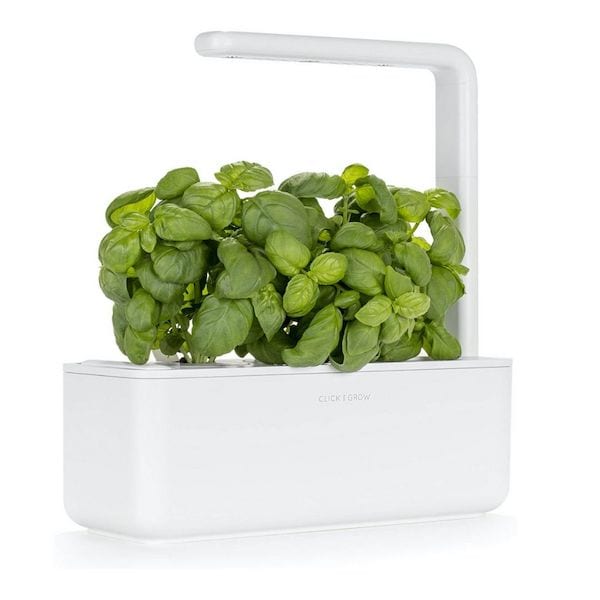 Valentines Gifts Unique Long Lasting