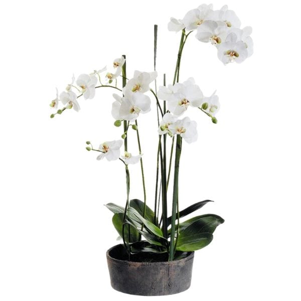 Artificial Orchid - Home Decor