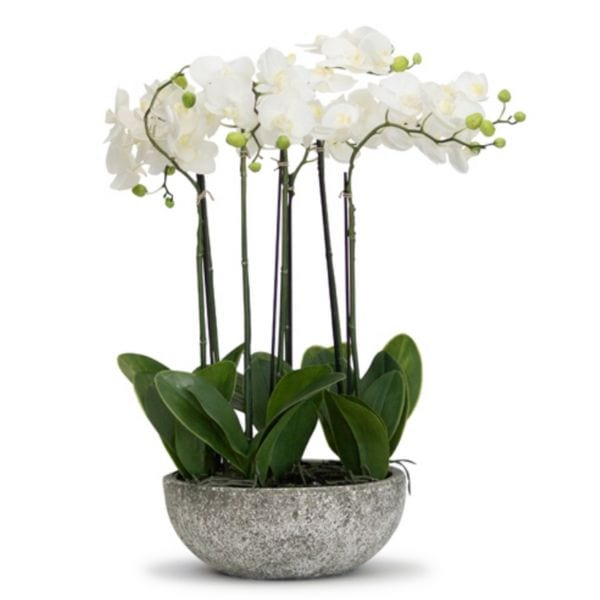 Artificial Orchid - GIANT-POTTED-PHALAENOPSIS | Home Decor -