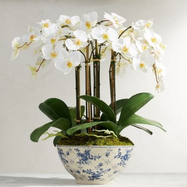 Article Orchid Home Decor