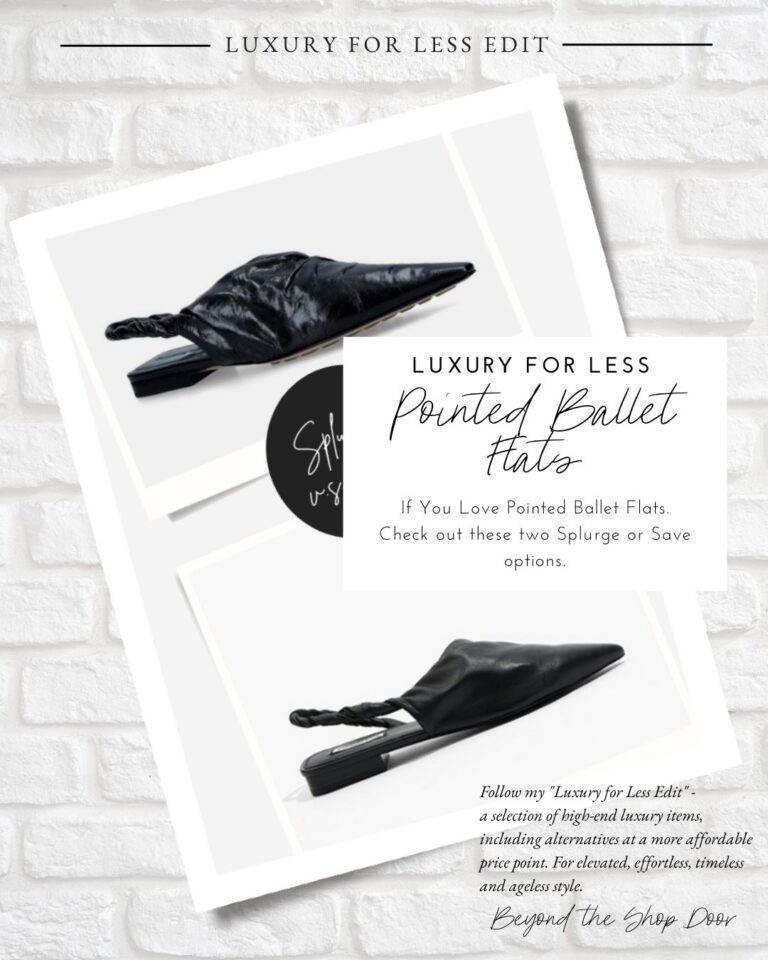 Bottega Veneta Pointed Ballet Flats - Splurge vs Steal