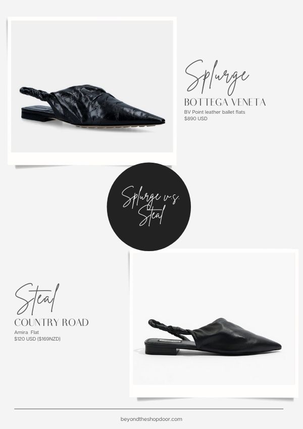 Spurge vs Steal - Point Ballet Flats
