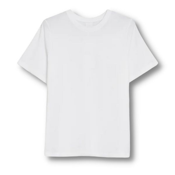 THE BEST WHITE T-SHIRT