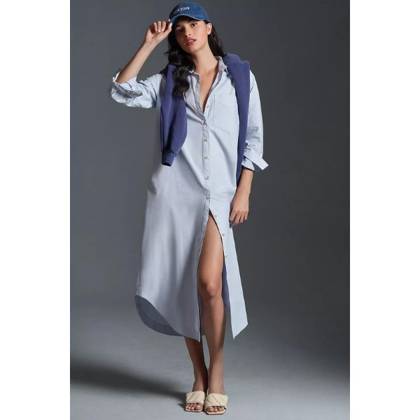 The Classic Shirt Dress 